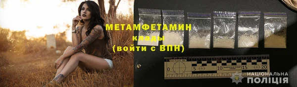 прущие грибы Армянск
