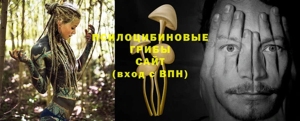 прущие грибы Армянск